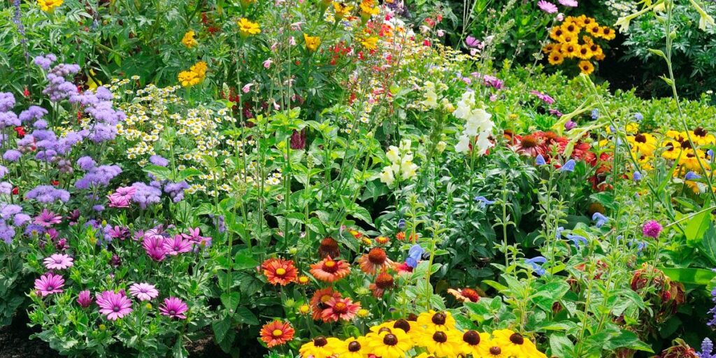 Garden flowers