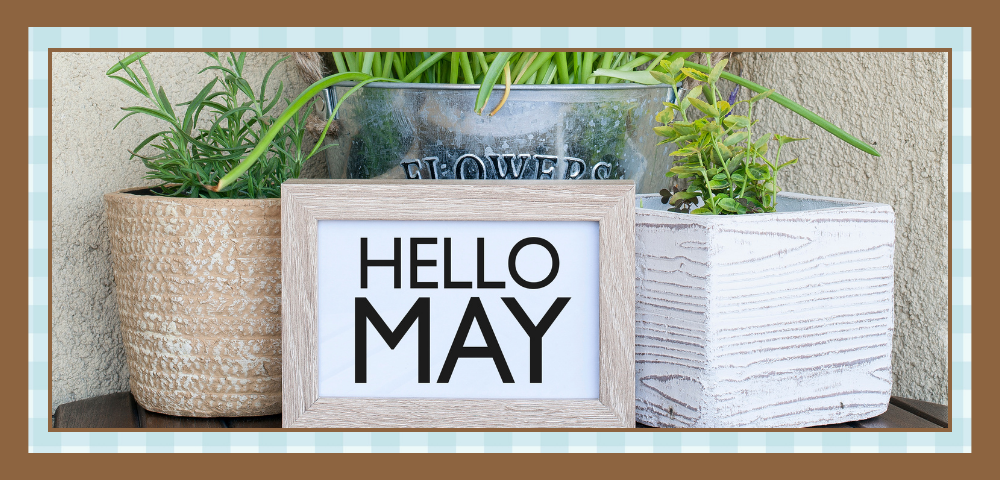 Wood-framed sign reads 'HELLO MAY' on a table, flanked by potted herbs in decorative planters for a spring vibe.