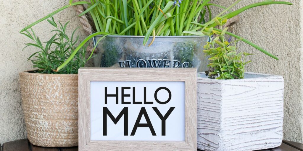 Potted plants on a table with a small sign that reads Hello May