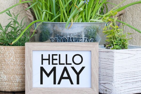 Potted plants on a table with a small sign that reads Hello May