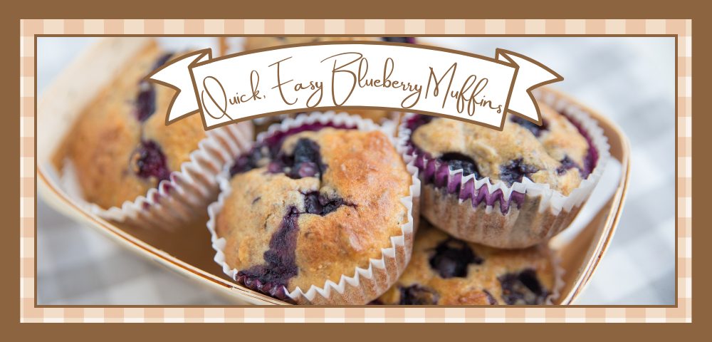 Closeup of a plate of blueberry muffins.