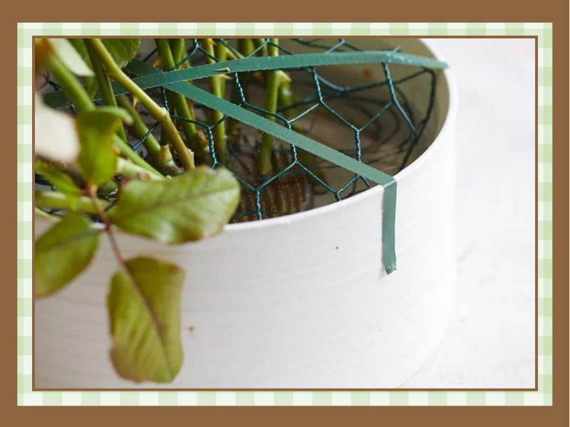 Floral-Tape | The Granite Acorn Close up of a green plant in a white pot with a teal wire plant support netting