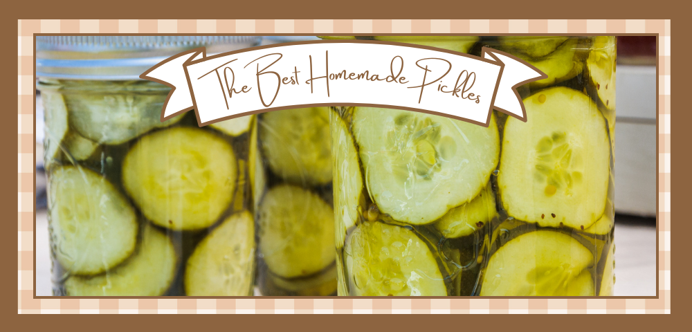 Canning jars filled with homemade pickle chips