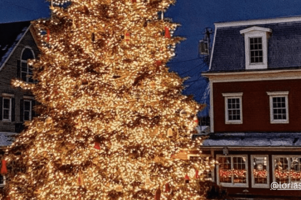 Magical Christmas Towns-Banner (1) | The Granite Acorn