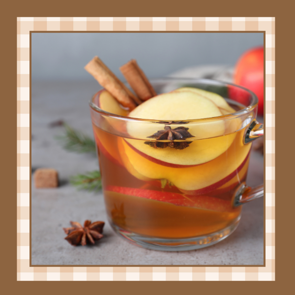 Clear mug of apple cider with cinnamon sticks and apple slices
