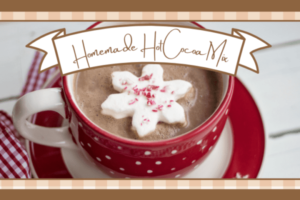Hot cocoa in a red and white mug with a snowflake shaped marshmallow on top