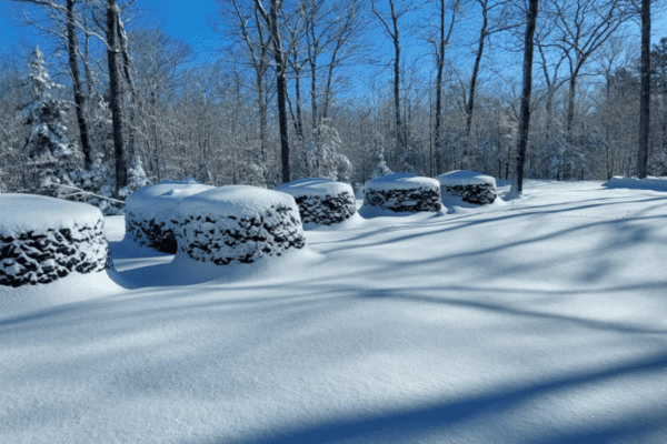 Wood Piles | The Granite Acorn Round piles of firewood covered in snow