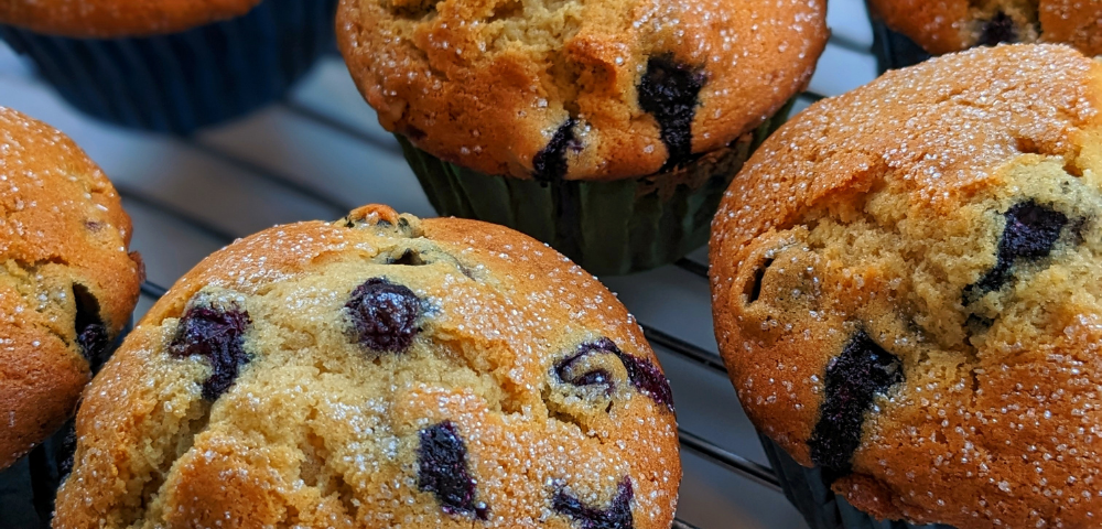 Closeup of several blueberry muffins on a wire rack