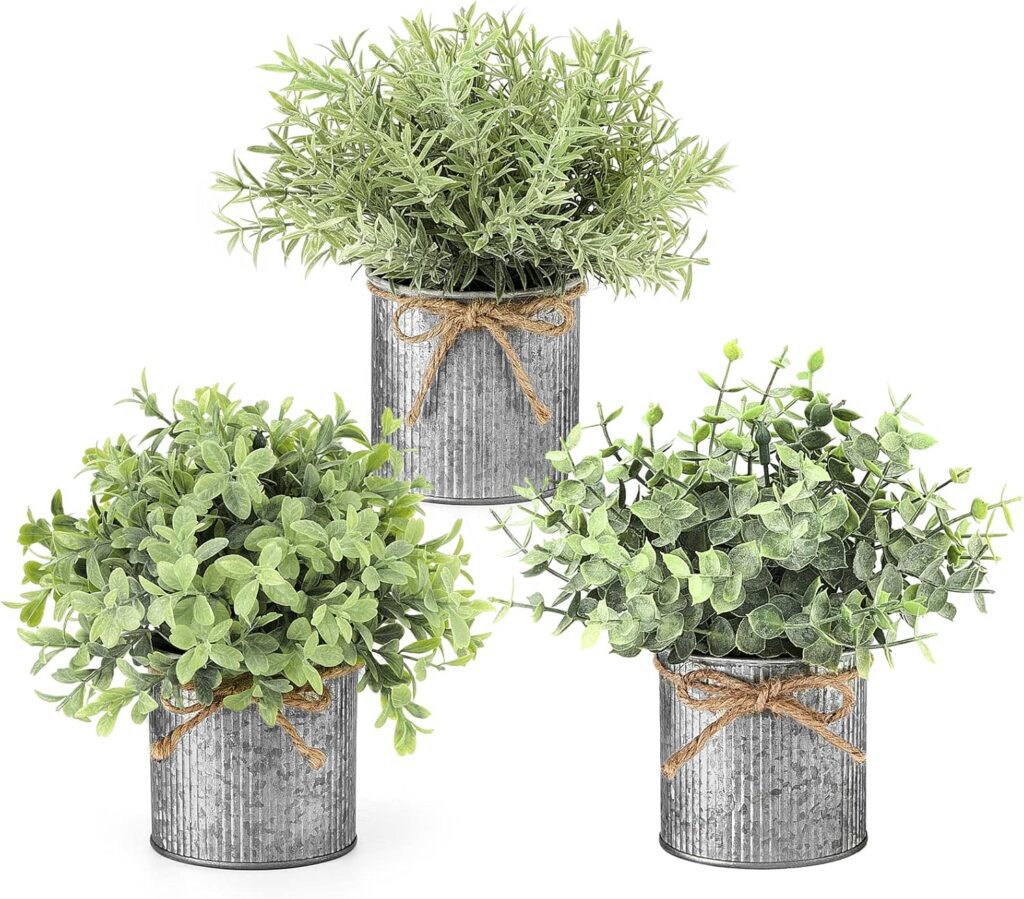 Galvanized-Planters | The Granite Acorn