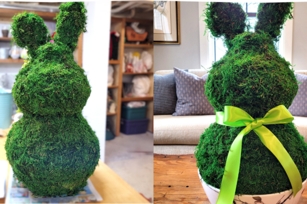 Moss Bunny-Banner | The Granite Acorn