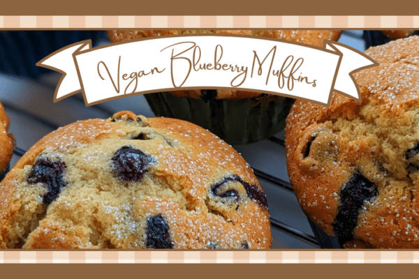 Closeup of several blueberry muffins on a wire rack