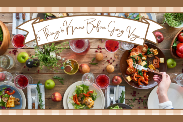 Dining table spread with vegan foods