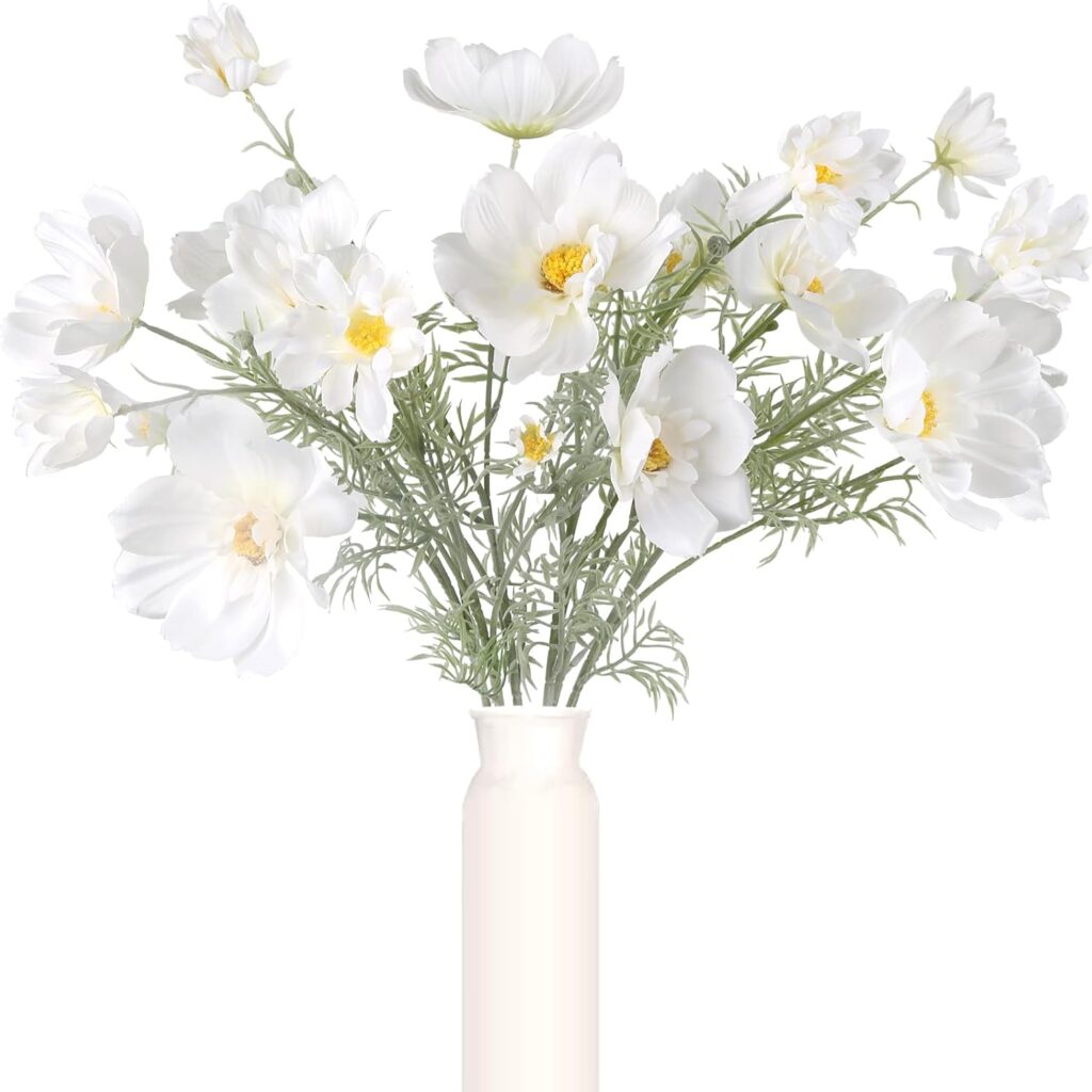 White-Cosmos | The Granite Acorn