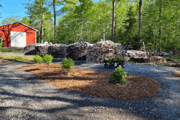 Round wood piles bordered by gravel paths and newly planted hydrangea with a red barn in the background