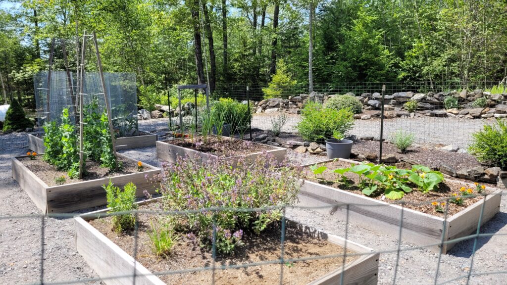 20250627_142613 | The Granite Acorn