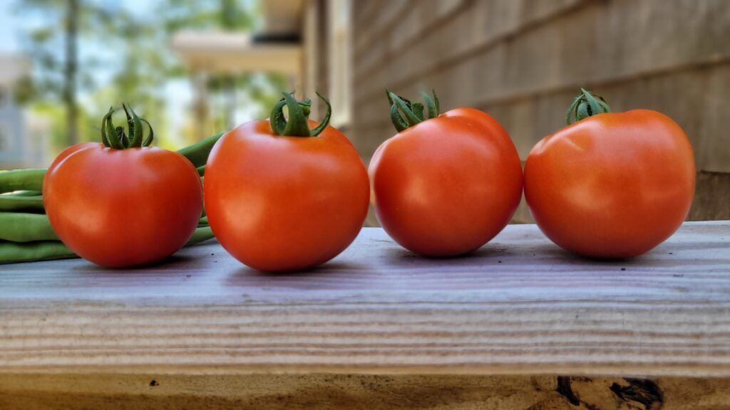 20250815_115028 | The Granite Acorn