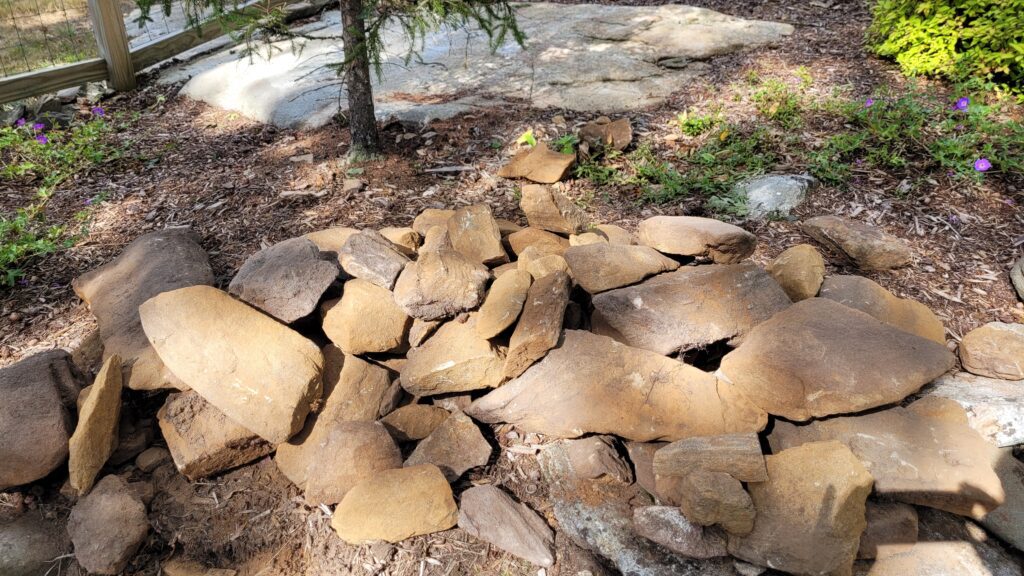 20250827_094304 | The Granite Acorn