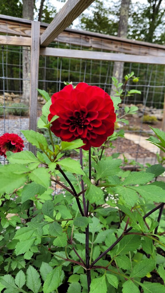 20250923_132543 | The Granite Acorn