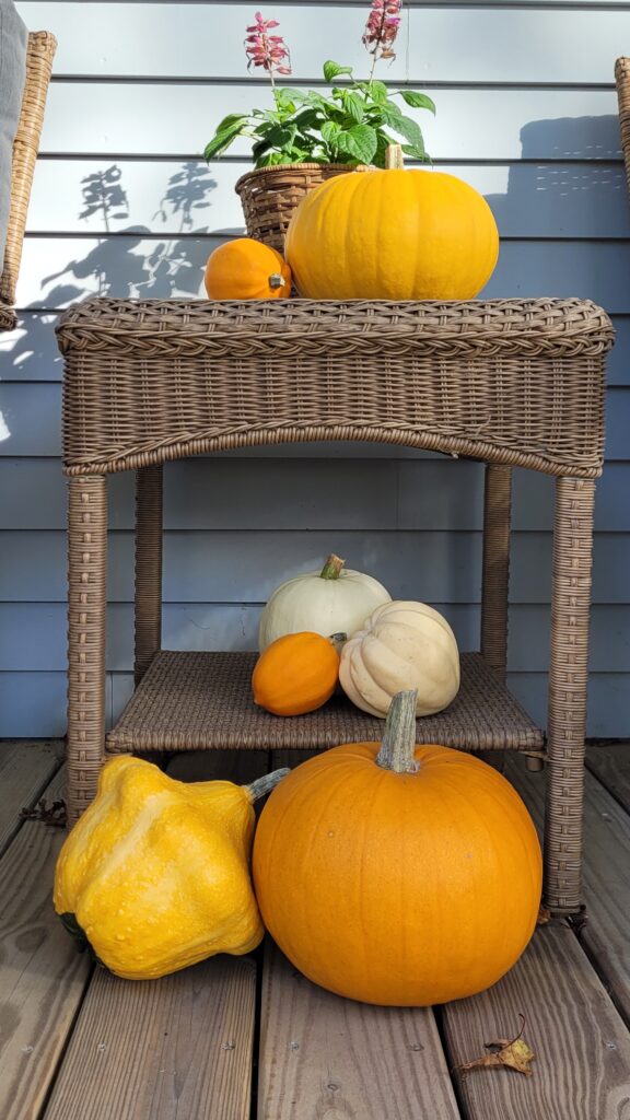 20251003_154629 | The Granite Acorn