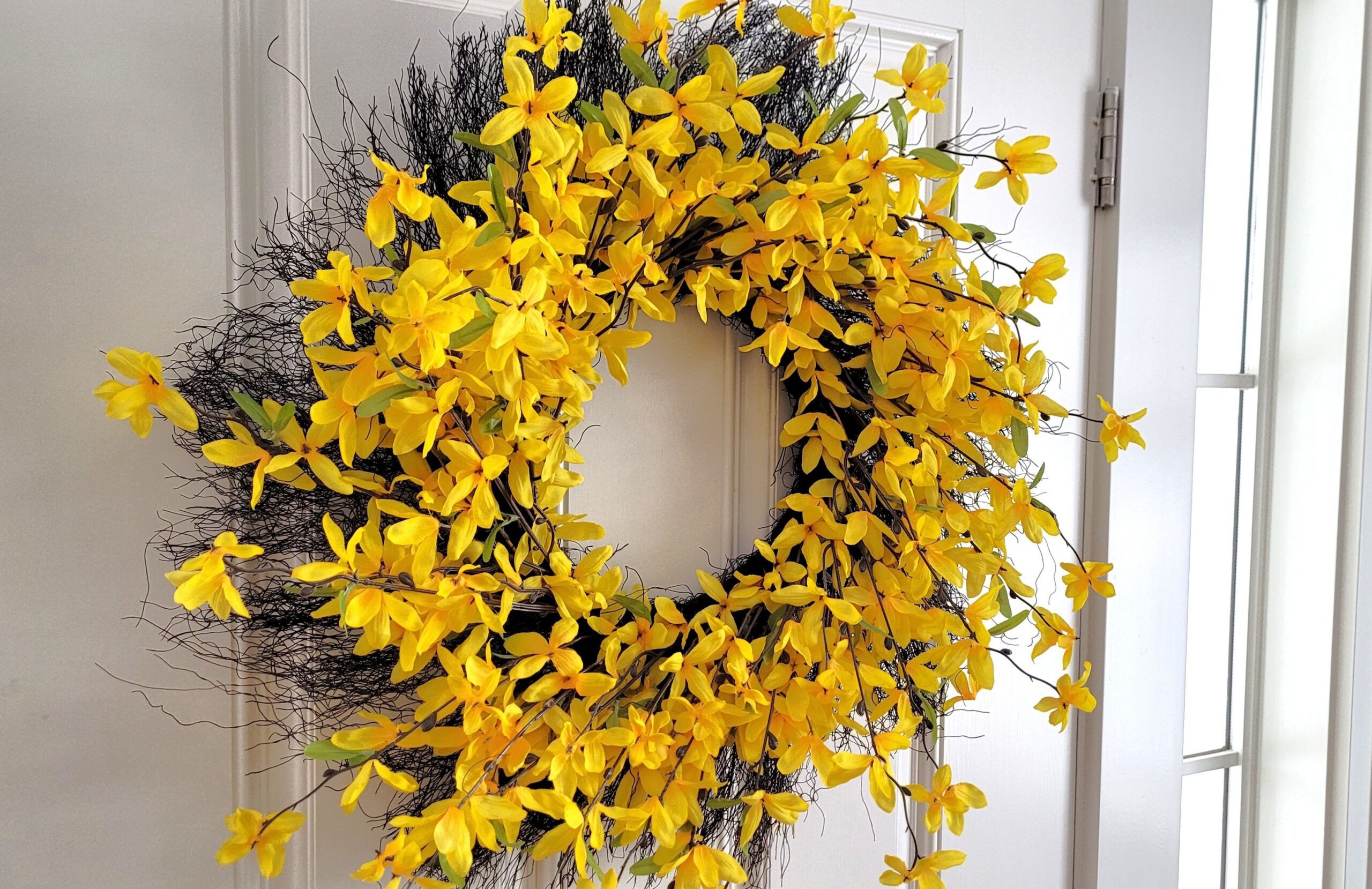 Large forsythia wreath hanging on the inside of a white front door