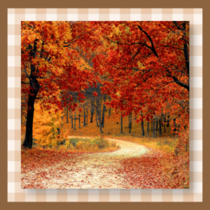 Path winds through a forest in autumn colors, with red and orange leaves on trees and fallen leaves on the ground.